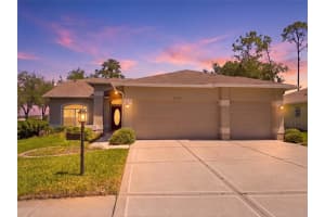18744 BELLEVISTA COURT, HUDSON, FL 34667 - MLS#MFRW7885021