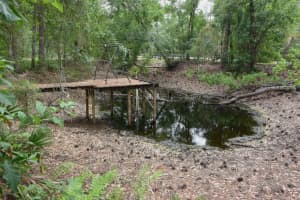 6832 QUAIL HOLLOW BOULEVARD, WESLEY CHAPEL, FL 33544 - MLS#MFRW7885035