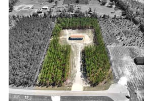 20774 78TH TRACE, LIVE OAK, FL 32060 - MLS#MFRW7885047