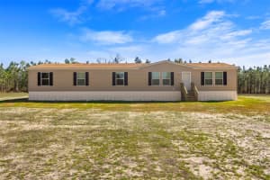 20774 78TH TRACE, LIVE OAK, FL 32060 - MLS#MFRW7885047