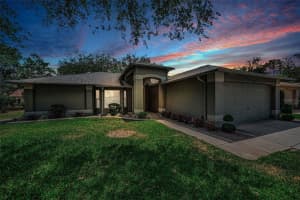 1300 FALLOWFIELD DRIVE, TRINITY, FL 34655 - MLS#MFRW7885053