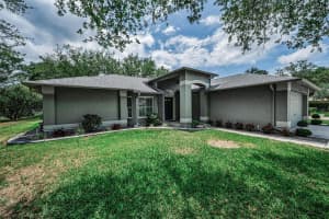 1300 FALLOWFIELD DRIVE, TRINITY, FL 34655 - MLS#MFRW7885053