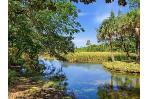 8979 WHITE DOGWOOD DRIVE, HOMOSASSA, FL 34448 - MLS#MFRW7885090