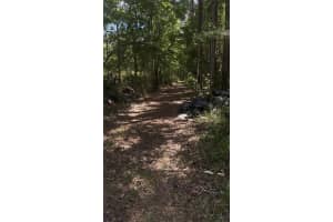 KUSAN ST, NEW PORT RICHEY, FL 34654 - MLS#MFRW7885184