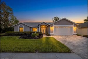 8912 THOREAU PLACE, HUDSON, FL 34667 - MLS#MFRW7885206