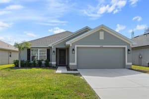 12492 PINE BLUFF STREET, SPRING HILL, FL 34609 - MLS#MFRW7885231