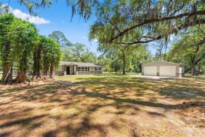 7845 FLAME VINE WAY, CRYSTAL RIVER, FL 34428 - MLS#MFRW7885248