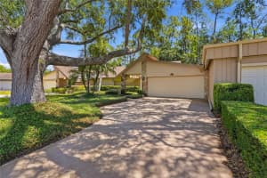 3071 BOLT DRIVE, PALM HARBOR, FL 34685 - MLS#MFRW7885293