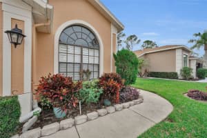 9630 GREEN NEEDLE DRIVE, NEW PORT RICHEY, FL 34655 - MLS#MFRW7885333