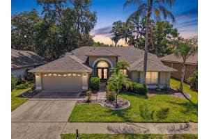 8435 BASUTO DR, TRINITY, FL 34655 - MLS#MFRW7885353