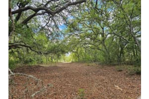 2950 POMPANO LANE, DUNNELLON, FL 34433 - MLS#MFRW7885363