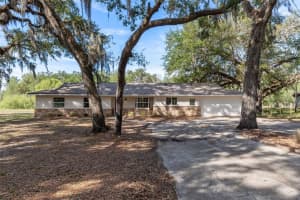 34575 ORCHID PARKWAY, DADE CITY, FL 33523 - MLS#MFRW7885394
