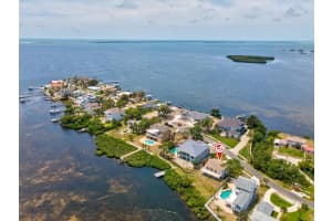 1647 SEA BREEZE DRIVE, TARPON SPRINGS, FL 34689 - MLS#MFRW7885418