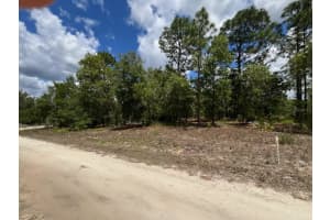 3726 SPOON WOOD COURT, DUNNELLON, FL 34433 - MLS#MFRW7885449