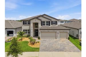 33163 SYCAMORE LEAF DRIVE, WESLEY CHAPEL, FL 33545 - MLS#MFRW7885551