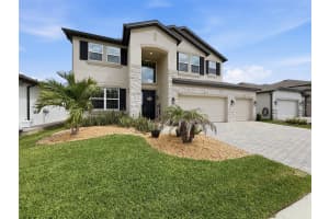 33163 SYCAMORE LEAF DRIVE, WESLEY CHAPEL, FL 33545 - MLS#MFRW7885551