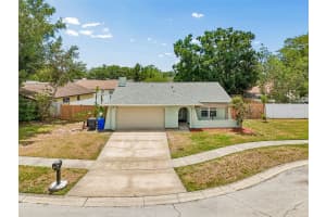 4706 Wandering Way, TAMPA 4706 Wandering Way, TAMPA