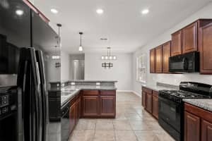 8751 SHADY PAVILLION COURT, LAND O LAKES, FL 34637 - MLS#MFRW7885610