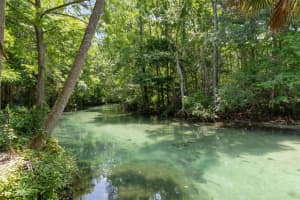 6762 RICHARD DRIVE, WEEKI WACHEE, FL 34607 - MLS#MFRW7885611