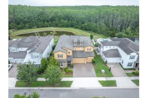 12929 PAYTON STREET, ODESSA, FL 33556 - MLS#MFRW7885648
