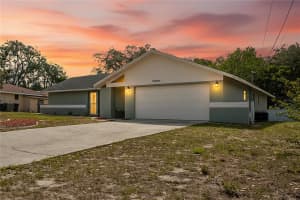 10100 VANCOUVER ROAD, SPRING HILL, FL 34608 - MLS#MFRW7885649