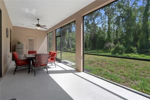 14807 PRINCEWOOD LANE, LAND O LAKES, FL 34638 - MLS#MFRW7885657