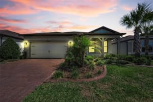 19865 SEA GLASS CIRCLE, LAND O LAKES, FL 34638 - MLS#MFRW7885669