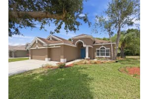 11143 RAGSDALE CT, NEW PORT RICHEY, FL 34654 - MLS#MFRW7885686