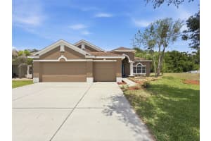 11143 RAGSDALE CT, NEW PORT RICHEY, FL 34654 - MLS#MFRW7885686
