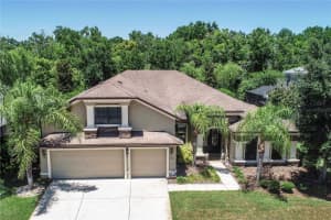 15141 Azra Dr, ODESSA