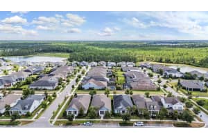 4384 BROAD PORCH RUN, LAND O LAKES, FL 34638 - MLS#MFRW7885704