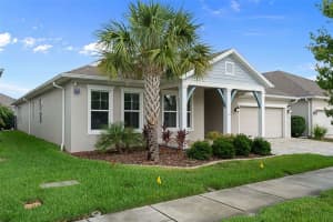 16691 VIBRATO LANE, LAND O LAKES, FL 34638 - MLS#MFRW7885711