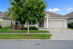 16691 VIBRATO LANE, LAND O LAKES, FL 34638 - MLS#MFRW7885711