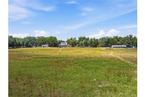35600 BLANTON ROAD, DADE CITY, FL 33523 - MLS#MFRW7885751
