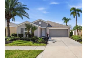 1801 BROAD WINGED HAWK DRIVE, RUSKIN, FL 33570 - MLS#MFRW7885753