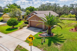 13253 GOLF RIDGE PLACE, HUDSON, FL 34669 - MLS#MFRW7885839