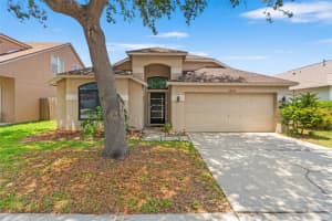 24405 SUMMER WIND COURT, LUTZ, FL 33559 - MLS#MFRW7885871
