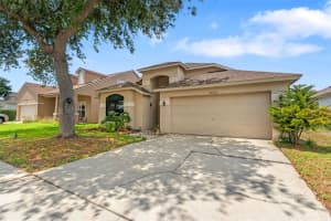 24405 SUMMER WIND COURT, LUTZ, FL 33559 - MLS#MFRW7885871