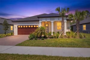 9776 Minnow Ray Dr, LAND O LAKES 9776 Minnow Ray Dr, LAND O LAKES