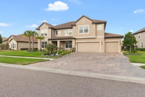 33239 KATELAND DRIVE, WESLEY CHAPEL, FL 33545 - MLS#MFRW7885934