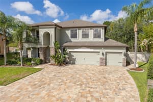 14810 Ninebark Ct, LAND O LAKES 14810 Ninebark Ct, LAND O LAKES