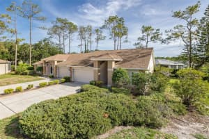 9519 SCENIC PINE COURT, NEW PORT RICHEY, FL 34655 - MLS#MFRW7885992