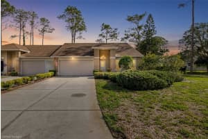 9519 SCENIC PINE COURT, NEW PORT RICHEY, FL 34655 - MLS#MFRW7885992