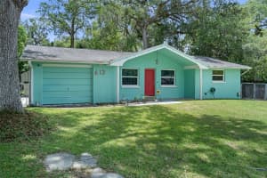 613 HOLLEY STREET, BROOKSVILLE, FL 34601 - MLS#MFRW7886004