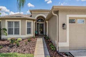 1032 DUSTAN PLACE, TRINITY, FL 34655 - MLS#MFRW7886008