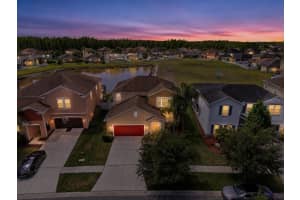19132 ANDREA LYNN LANE, LAND O LAKES, FL 34638 - MLS#MFRW7886011