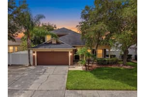 22536 Laureldale Dr, LUTZ 22536 Laureldale Dr, LUTZ