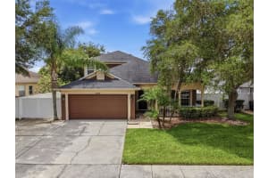 22536 LAURELDALE DRIVE, LUTZ, FL 33549 - MLS#MFRW7886093
