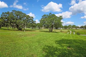 15515 BROOKRIDGE BOULEVARD, BROOKSVILLE, FL 34613 - MLS#MFRW7886200