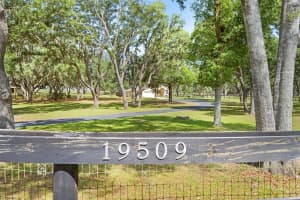 19509 PASO FINO WAY, DADE CITY, FL 33523 - MLS#MFRW7886224